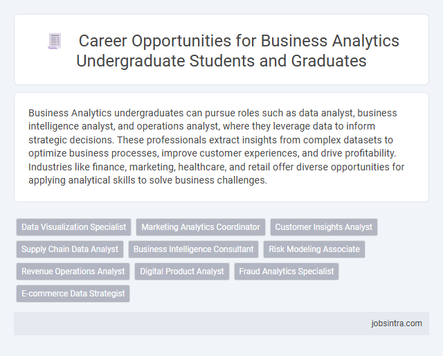 Career Opportunities for Business Analytics Undergraduate Students and Graduates