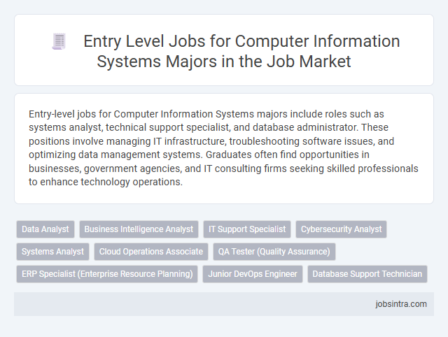 Entry Level Jobs for Computer Information Systems Majors in the Job Market