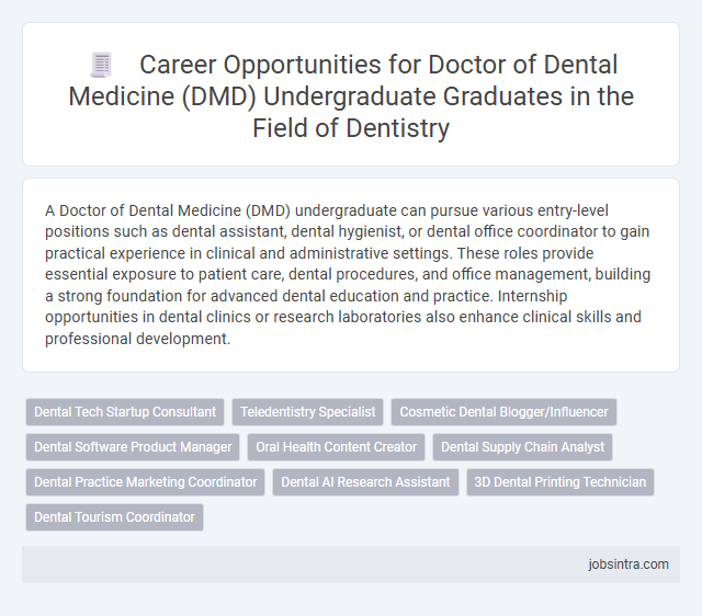 Career Opportunities for Doctor of Dental Medicine (DMD) Undergraduate Graduates in the Field of Dentistry
