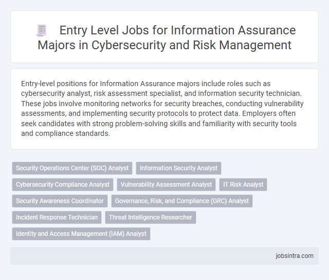 Entry Level Jobs for Information Assurance Majors in Cybersecurity and Risk Management