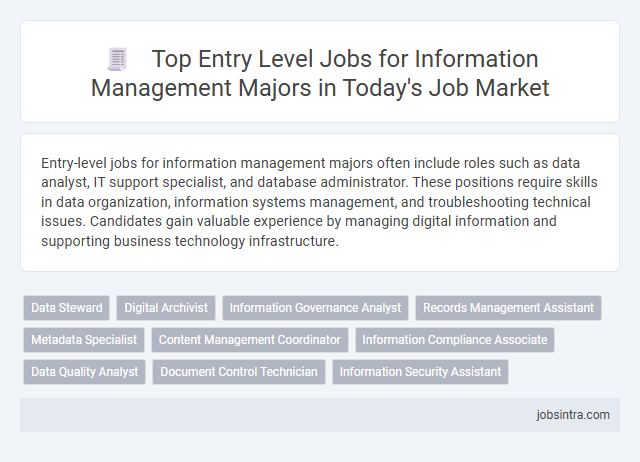 Top Entry Level Jobs for Information Management Majors in Today's Job Market