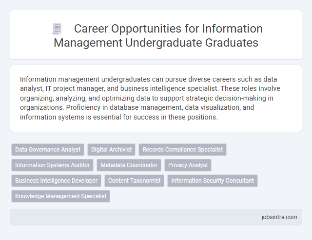Career Opportunities for Information Management Undergraduate Graduates