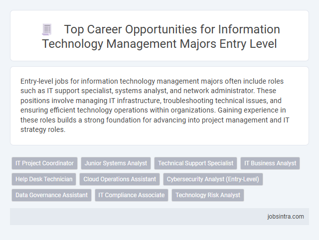 Top Career Opportunities for Information Technology Management Majors Entry Level