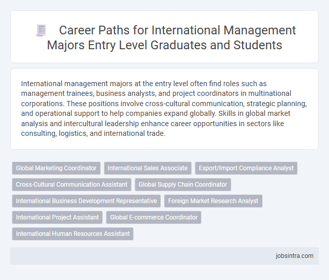 Career Paths for International Management Majors Entry Level Graduates and Students