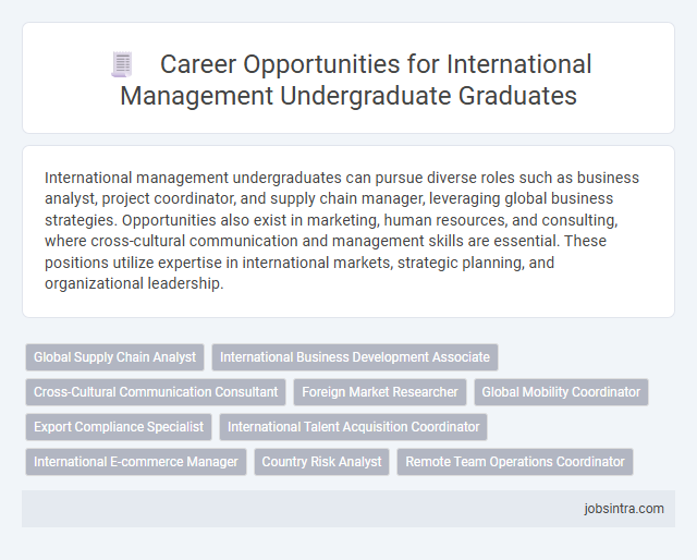 Career Opportunities for International Management Undergraduate Graduates