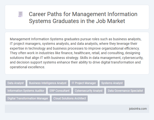 Career Paths for Management Information Systems Graduates in the Job Market