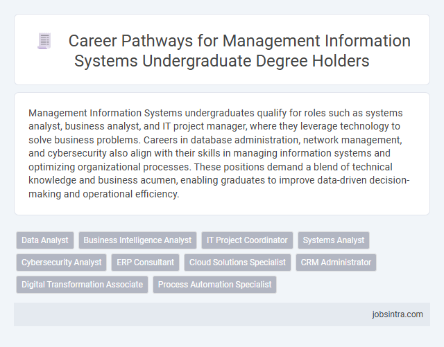 Career Pathways for Management Information Systems Undergraduate Degree Holders