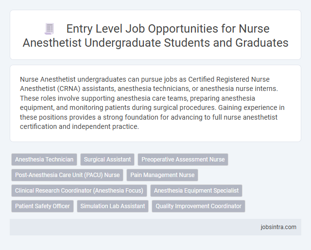 Entry Level Job Opportunities for Nurse Anesthetist Undergraduate Students and Graduates