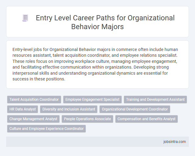 Entry Level Career Paths for Organizational Behavior Majors
