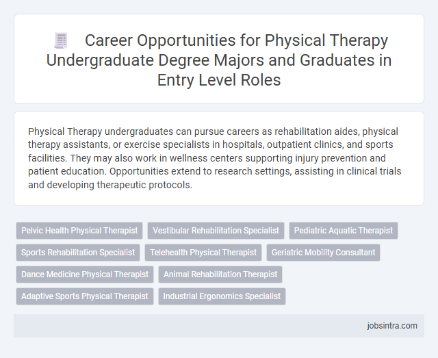 Career Opportunities for Physical Therapy Undergraduate Degree Majors and Graduates in Entry Level Roles