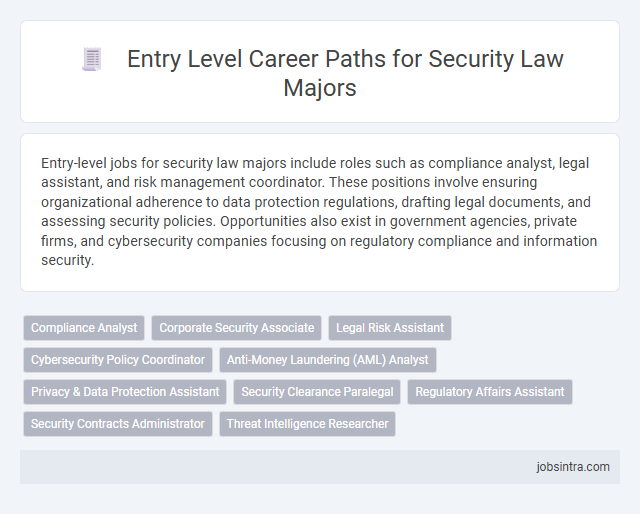 Entry Level Career Paths for Security Law Majors