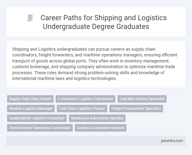 Career Paths for Shipping and Logistics Undergraduate Degree Graduates