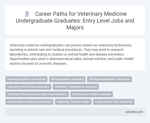 Career Paths for Veterinary Medicine Undergraduate Graduates: Entry Level Jobs and Majors