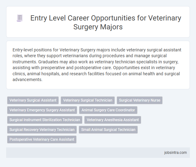 Entry Level Career Opportunities for Veterinary Surgery Majors