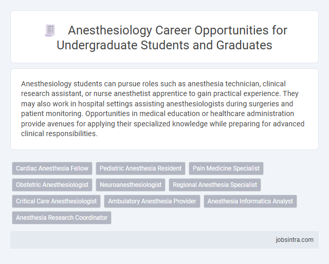 Anesthesiology Career Opportunities for Undergraduate Students and Graduates