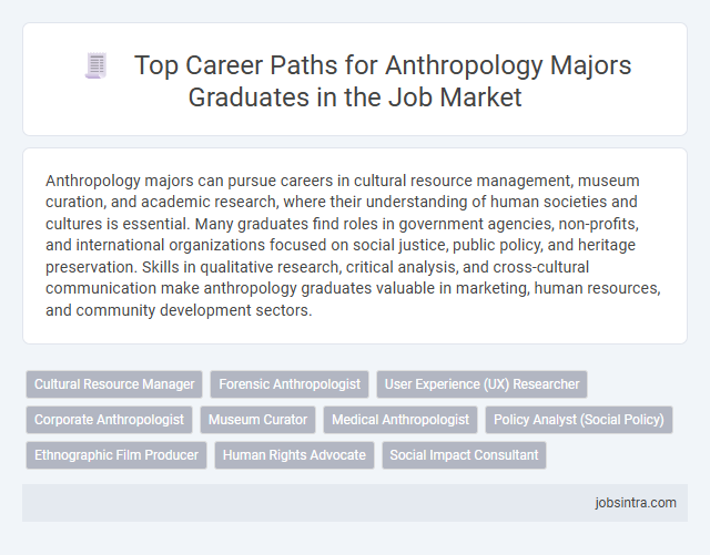 Top Career Paths for Anthropology Majors Graduates in the Job Market