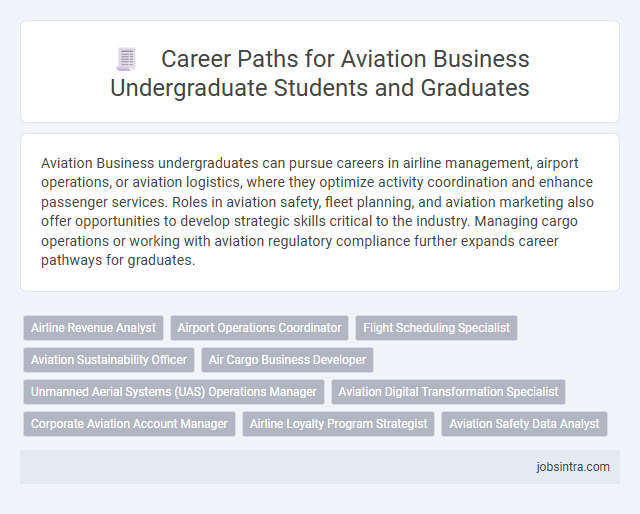 Career Paths for Aviation Business Undergraduate Students and Graduates