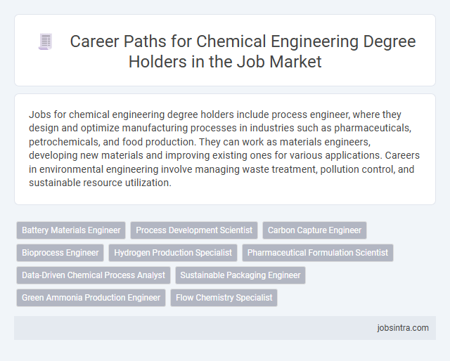 Career Paths for Chemical Engineering Degree Holders in the Job Market
