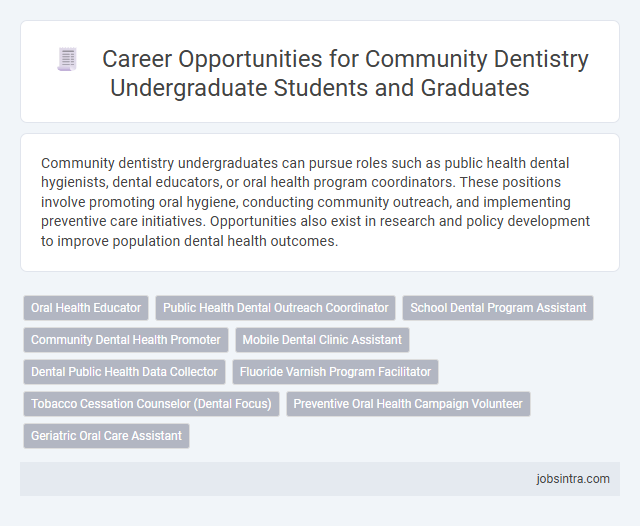Career Opportunities for Community Dentistry Undergraduate Students and Graduates