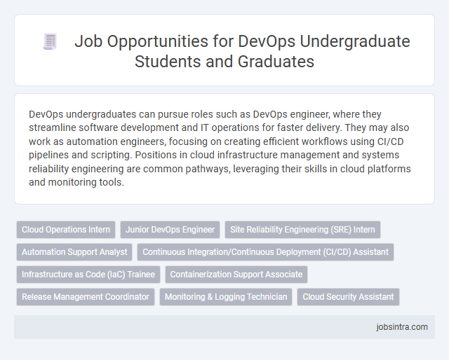 Job Opportunities for DevOps Undergraduate Students and Graduates