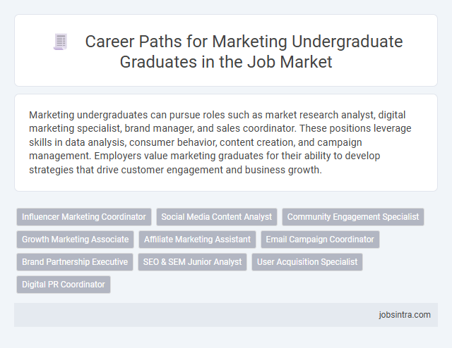 Career Paths for Marketing Undergraduate Graduates in the Job Market