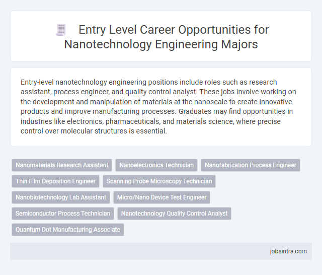 Entry Level Career Opportunities for Nanotechnology Engineering Majors