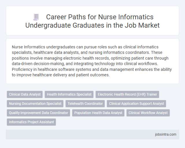 Career Paths for Nurse Informatics Undergraduate Graduates in the Job Market