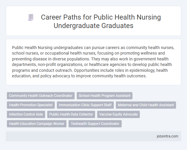 Career Paths for Public Health Nursing Undergraduate Graduates