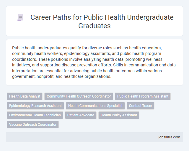 Career Paths for Public Health Undergraduate Graduates