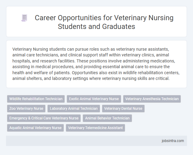 Career Opportunities for Veterinary Nursing Students and Graduates