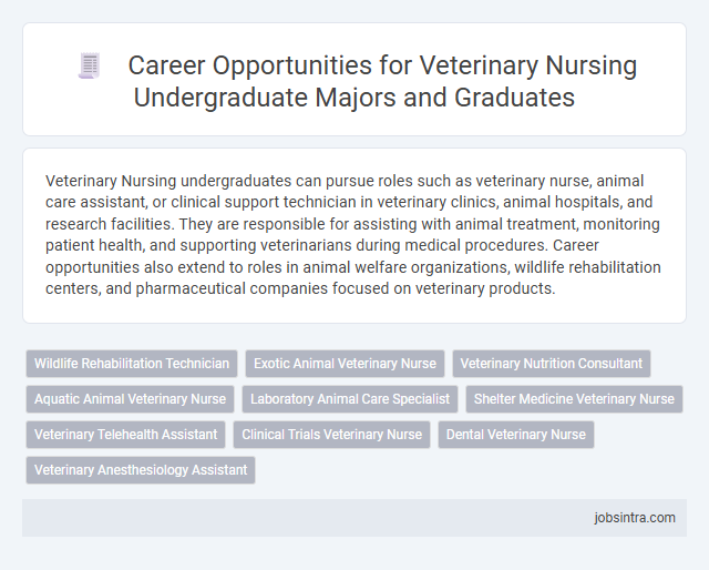 Career Opportunities for Veterinary Nursing Undergraduate Majors and Graduates