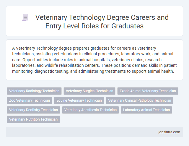 Veterinary Technology Degree Careers and Entry Level Roles for Graduates