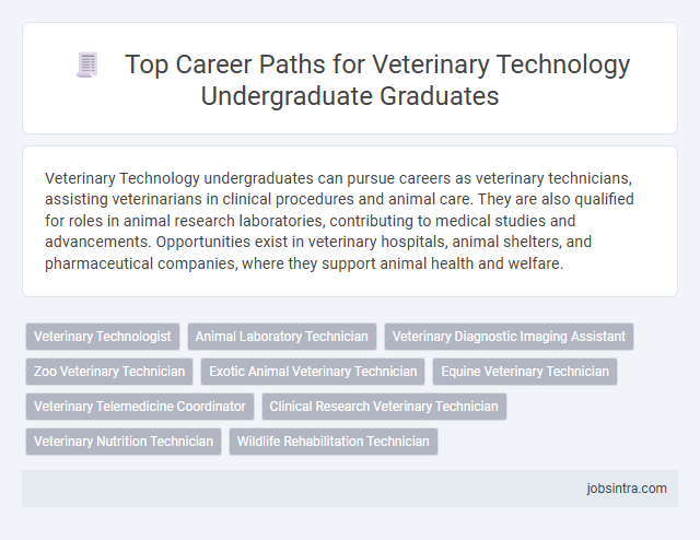 Top Career Paths for Veterinary Technology Undergraduate Graduates