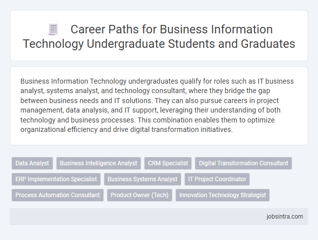 Career Paths for Business Information Technology Undergraduate Students and Graduates