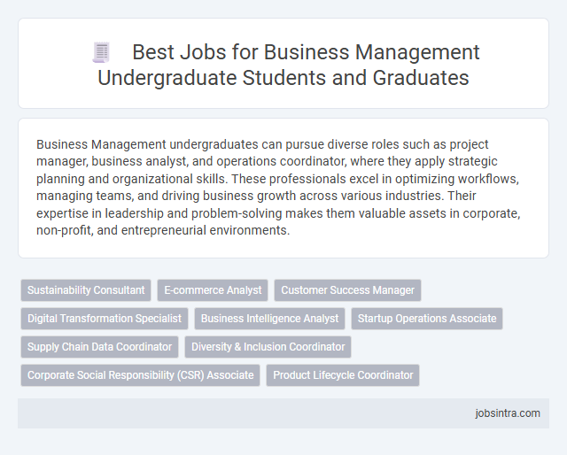 Best Jobs for Business Management Undergraduate Students and Graduates