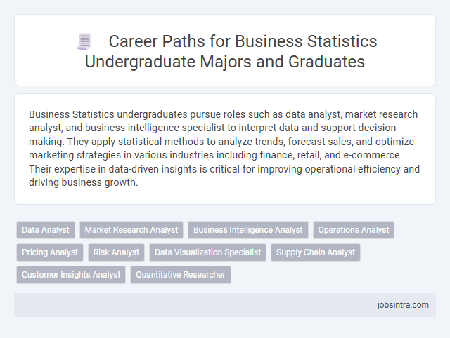 Career Paths for Business Statistics Undergraduate Majors and Graduates