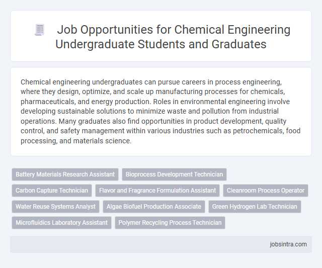 Job Opportunities for Chemical Engineering Undergraduate Students and Graduates