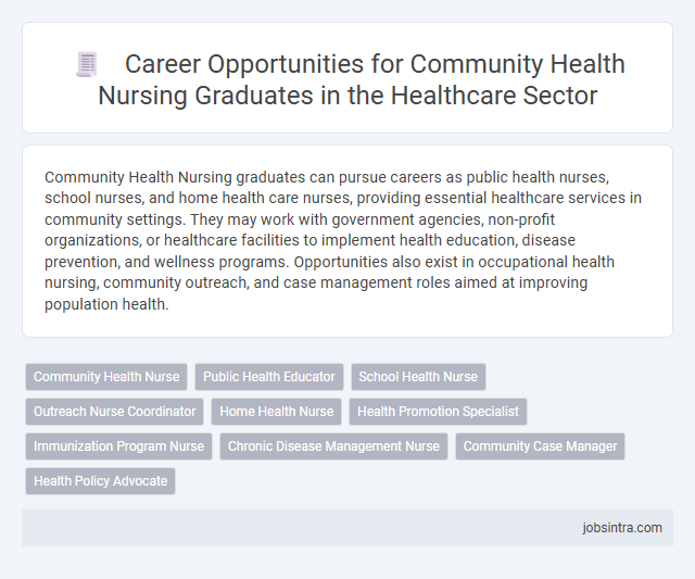 Career Opportunities for Community Health Nursing Graduates in the Healthcare Sector