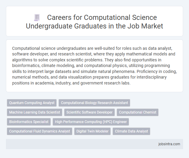 Careers for Computational Science Undergraduate Graduates in the Job Market