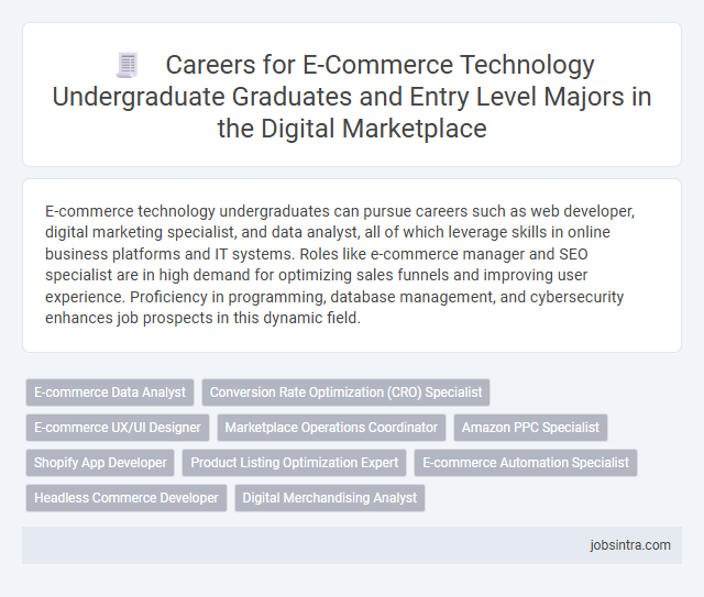 Careers for E-Commerce Technology Undergraduate Graduates and Entry Level Majors in the Digital Marketplace