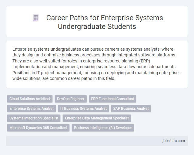 Career Paths for Enterprise Systems Undergraduate Students