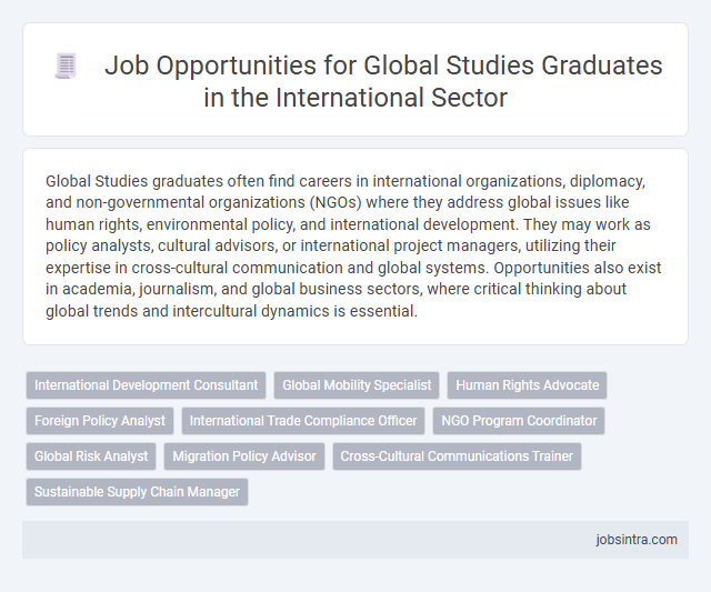 Job Opportunities for Global Studies Graduates in the International Sector