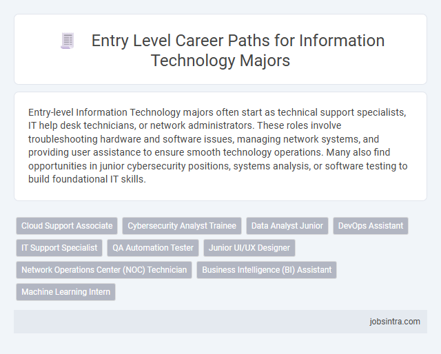 Entry Level Career Paths for Information Technology Majors