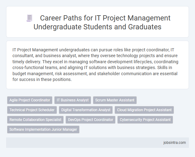 Career Paths for IT Project Management Undergraduate Students and Graduates
