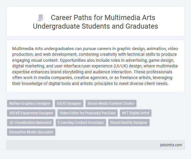 Career Paths for Multimedia Arts Undergraduate Students and Graduates