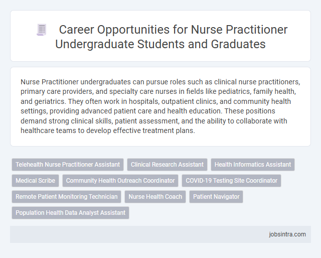 Career Opportunities for Nurse Practitioner Undergraduate Students and Graduates
