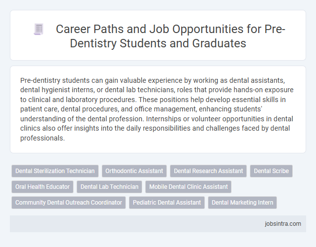 Career Paths and Job Opportunities for Pre-Dentistry Students and Graduates