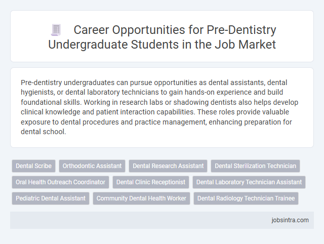 Career Opportunities for Pre-Dentistry Undergraduate Students in the Job Market