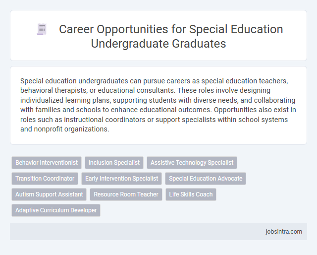 Career Opportunities for Special Education Undergraduate Graduates