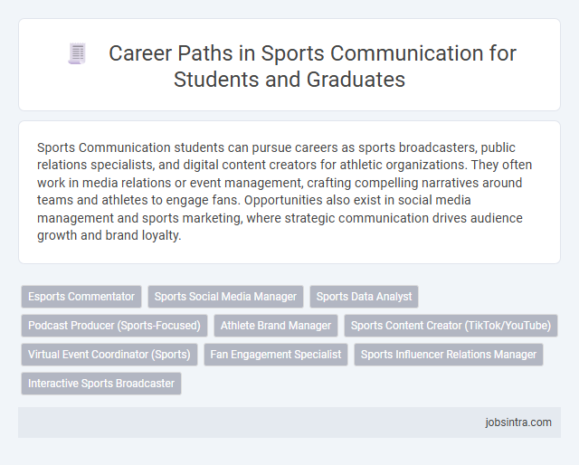 Career Paths in Sports Communication for Students and Graduates